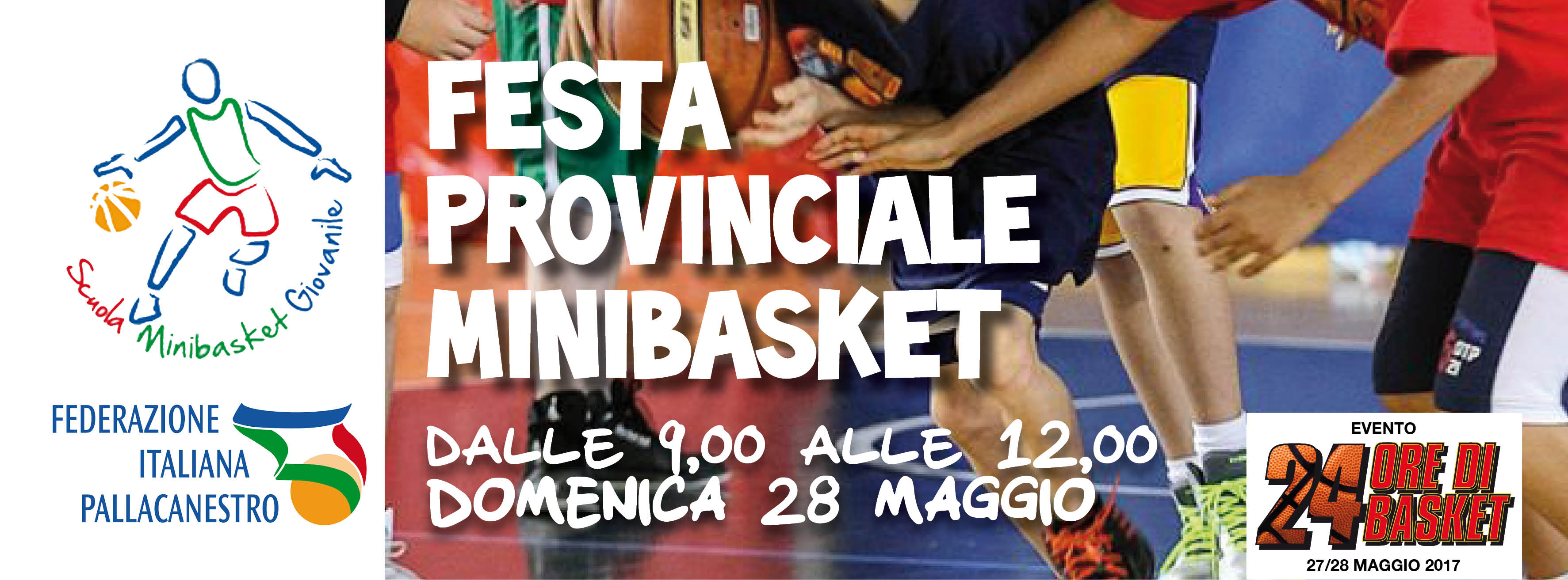 Festa Provinciale Minibasket